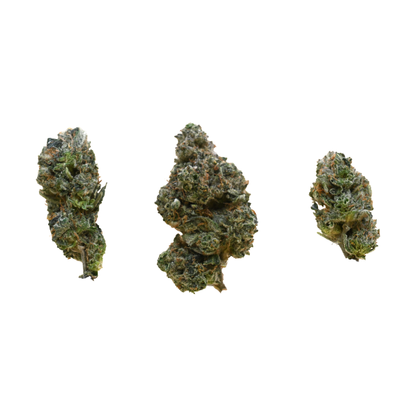 BLUE-DREAM-BUD-group-shot