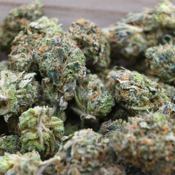 BLUE-DREAM-BUD-group-shot2