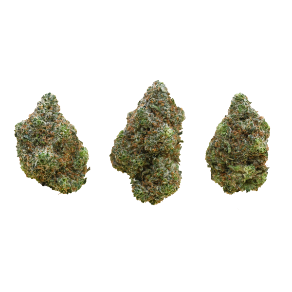 BRUCE-BANNER-BUD-GROUP-SHOT