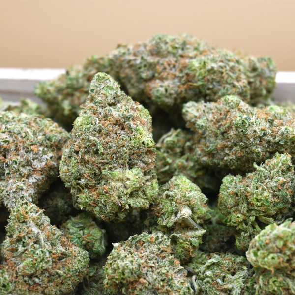 BRUCE-BANNER-BUD-GROUP-SHOT2