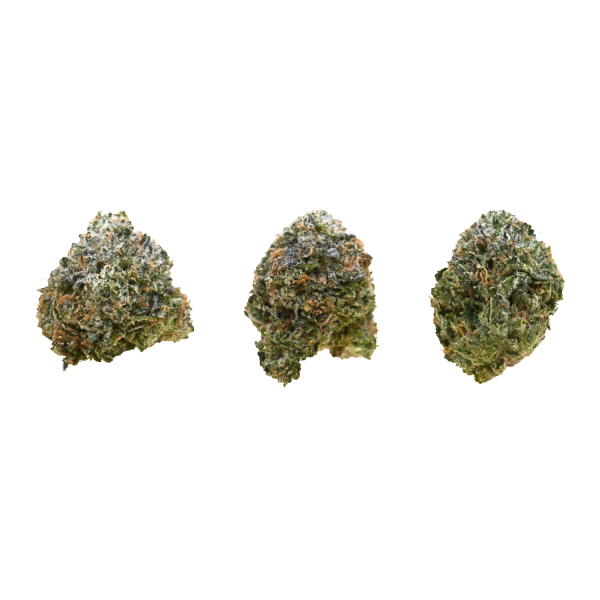 DEATH-BUBBA-GROUP-SHOT