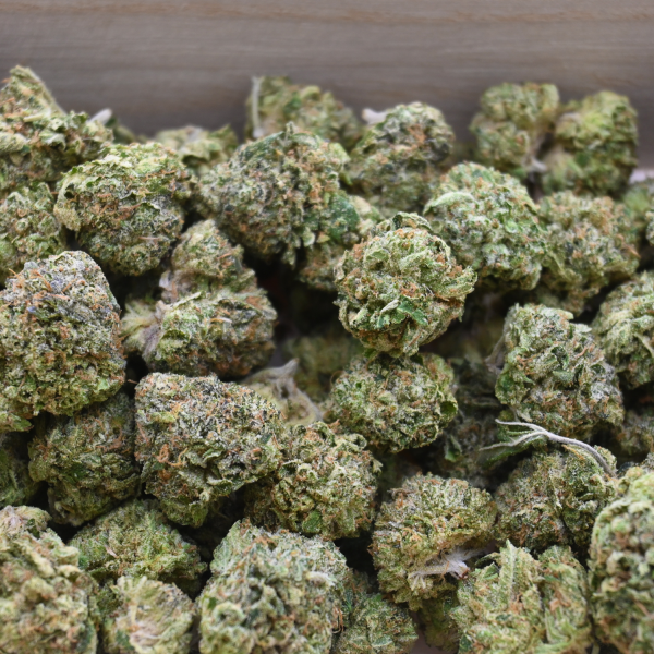 DEATH-BUBBA-GROUP-SHOT1