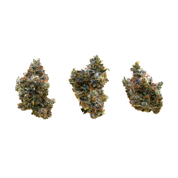 GREASY-PINK-BUD-GROUP-SHOT