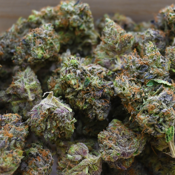 GREASY-PINK-BUD-GROUP-SHOT1