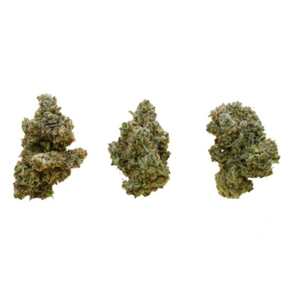 Gorilla Glue Buds Delivery Weed Vancouver