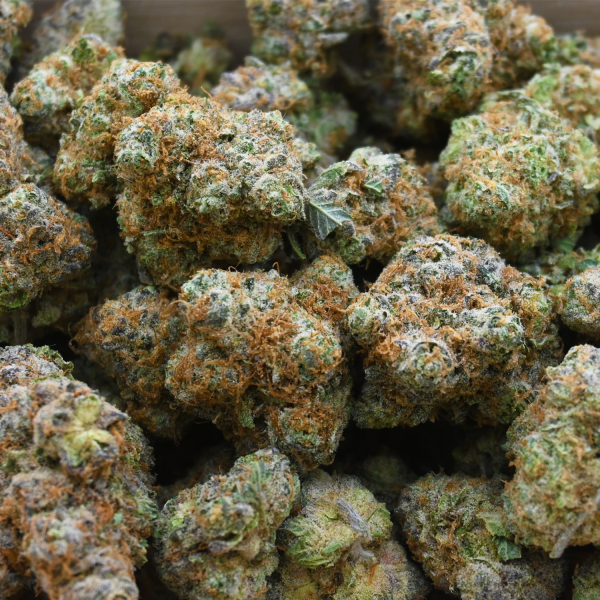 MODIFIED-GRAPES-BUD-GROUP-SHOT1