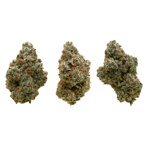 MOJITO-BUD-group-shot