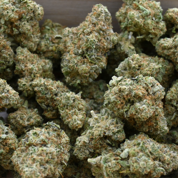 MOJITO-BUD-group-shot1