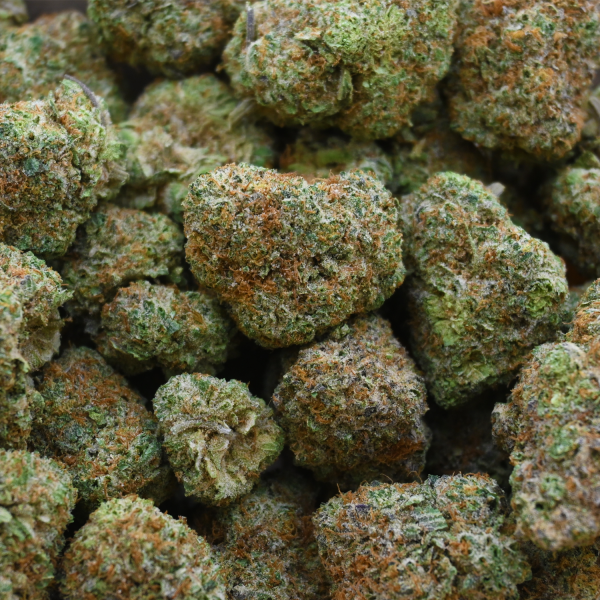 PINEAPPLE-CRUSH-BUD-GROUP-SHOT1