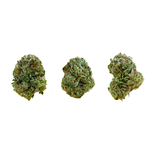 PINK-KUSH-BUD-GROUP-SHOT