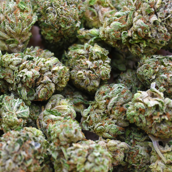 PINK-KUSH-BUD-GROUP-SHOT1