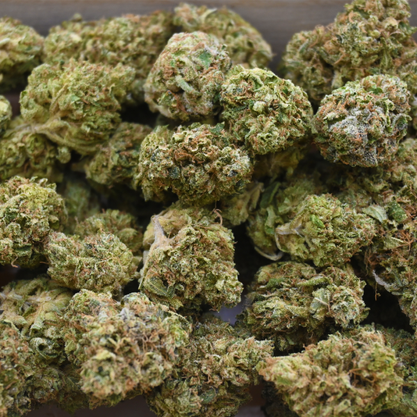 PLATINUM-BUBBA-BUD-group-shot1