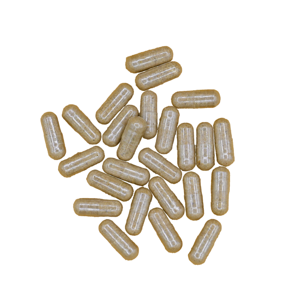 WILD-AWAKE-MUSHROOMS-MICRO-DOSE-CAPSULES