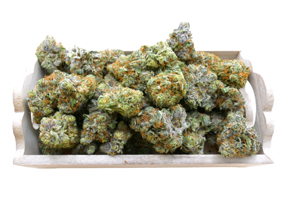 Organic Red Congolese - Image 3