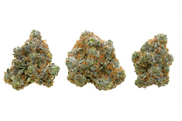 Organic Red Congolese - Image 2