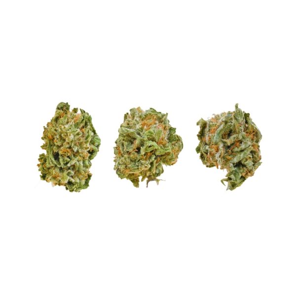 Sour Mango buds same day delivery vancouver